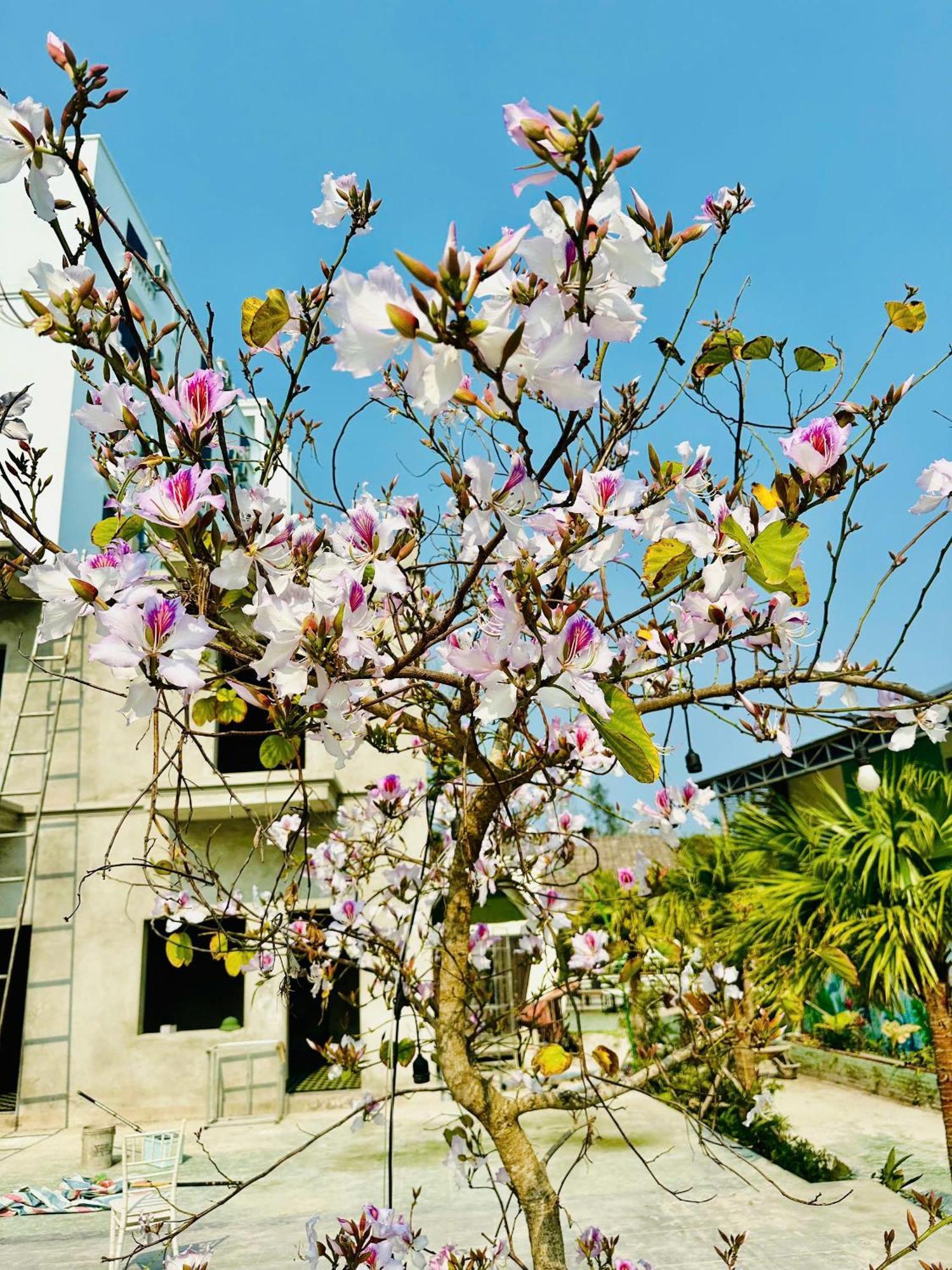Minh Chau Beach Resort Quang Ninh  Exterior photo